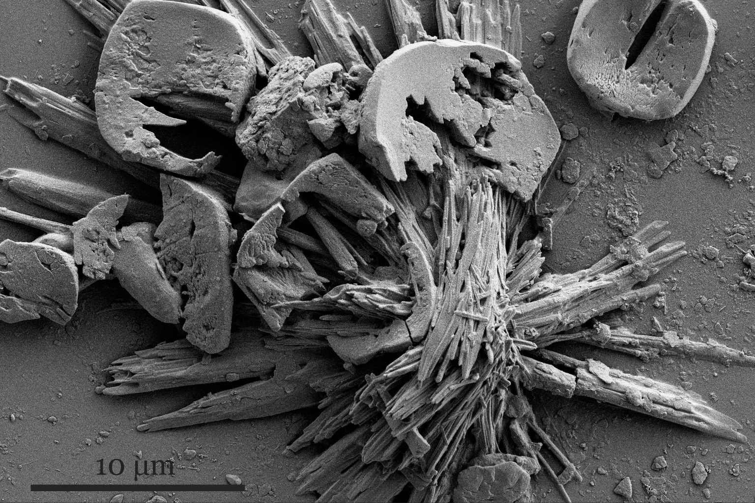 How Is The Particulate Nature Of Matter Maintained